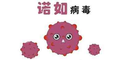 黑龙江16名学生感染诺如病毒-为什么会感染诺如病毒-第2张图片