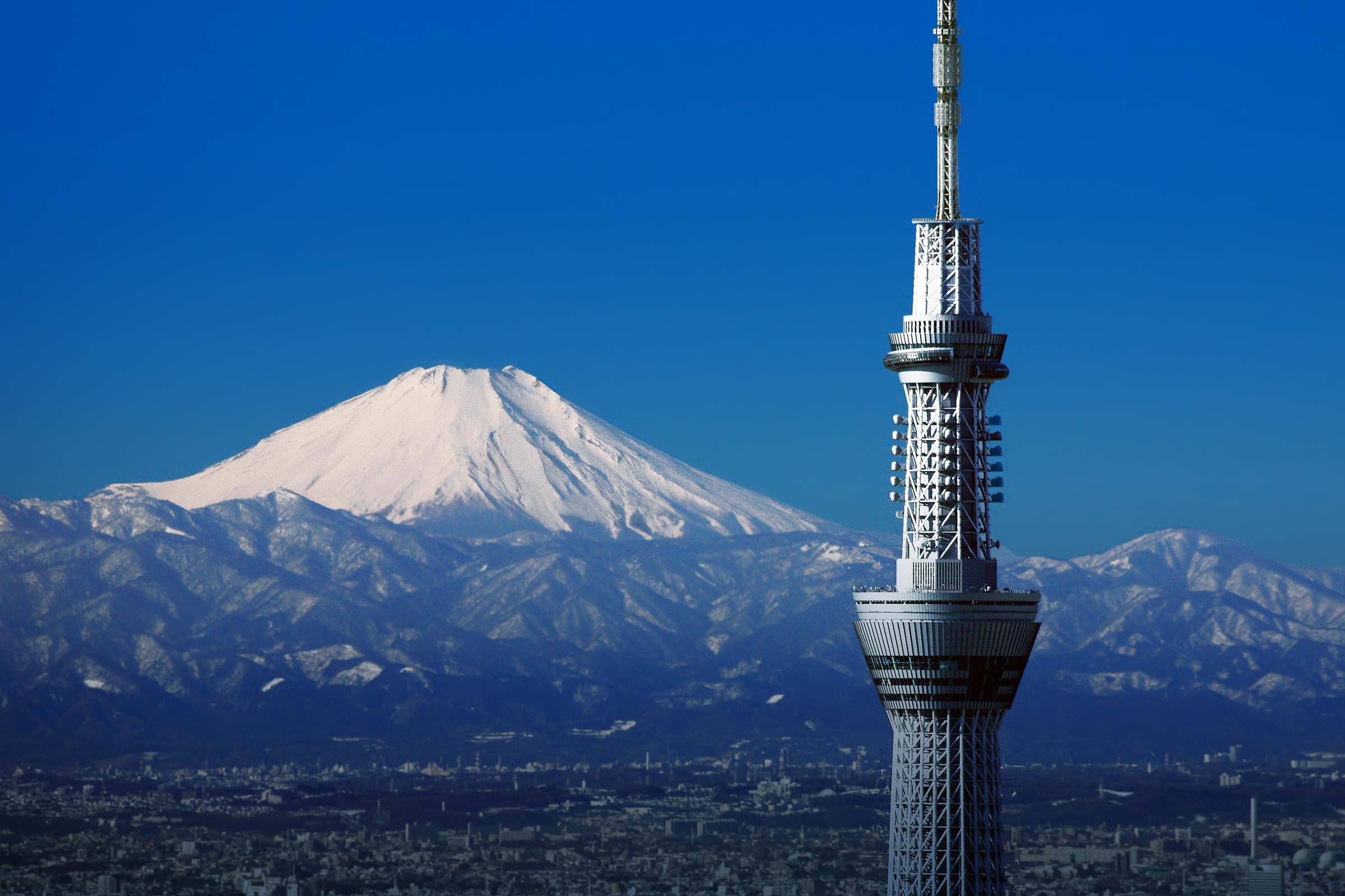 东京最高的建筑物（日本东京的第一高楼是东京塔吗）-第5张图片