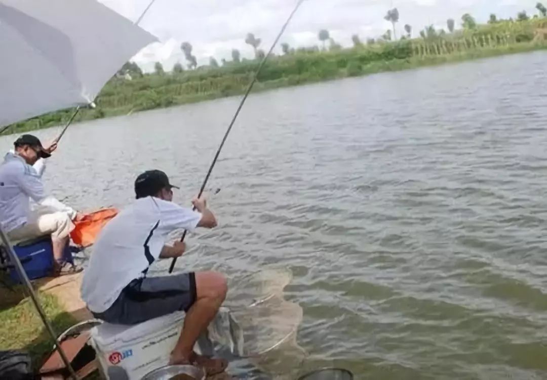 河里钓鱼的技术及技巧（河钓时怎么样才能钓更多鱼）-第3张图片