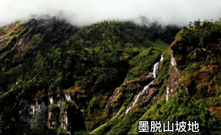 墨脱海拔高度是多少米（中国边境城市墨脱的基本情况介绍）-第12张图片