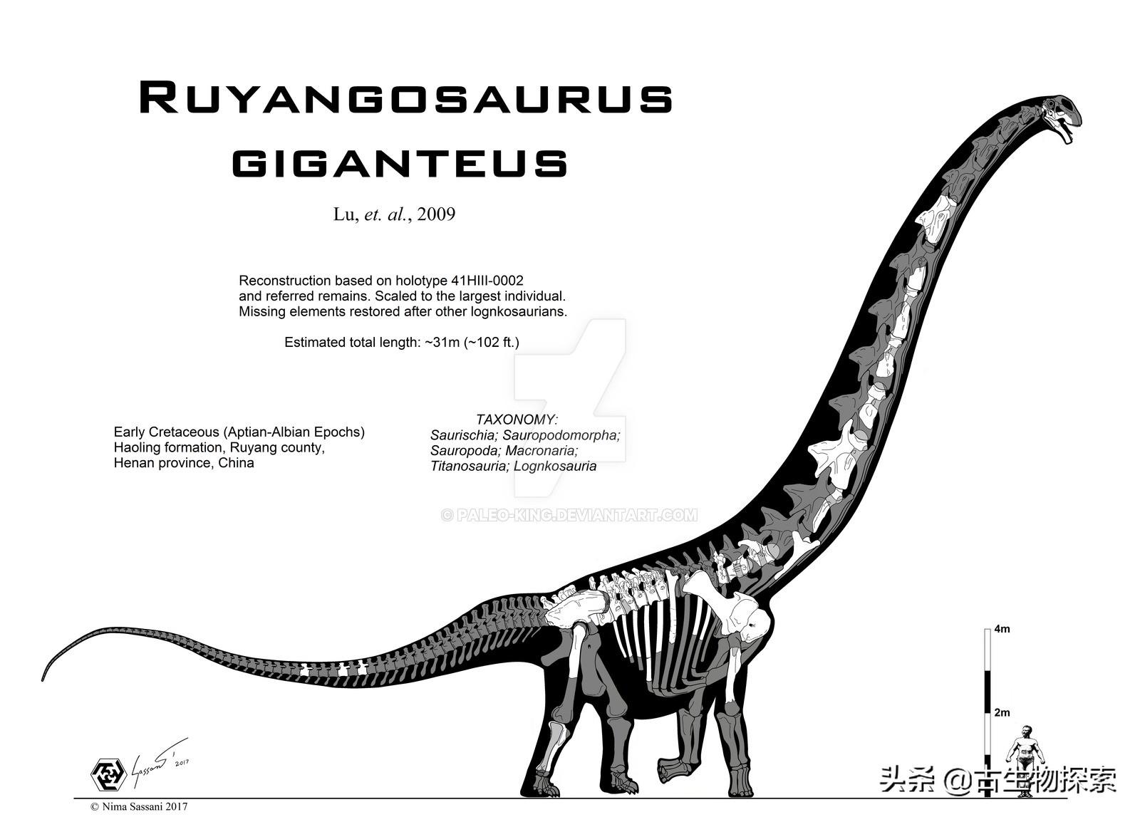 脖子长的恐龙叫什么（世界上到底哪种恐龙的脖子最长）-第8张图片