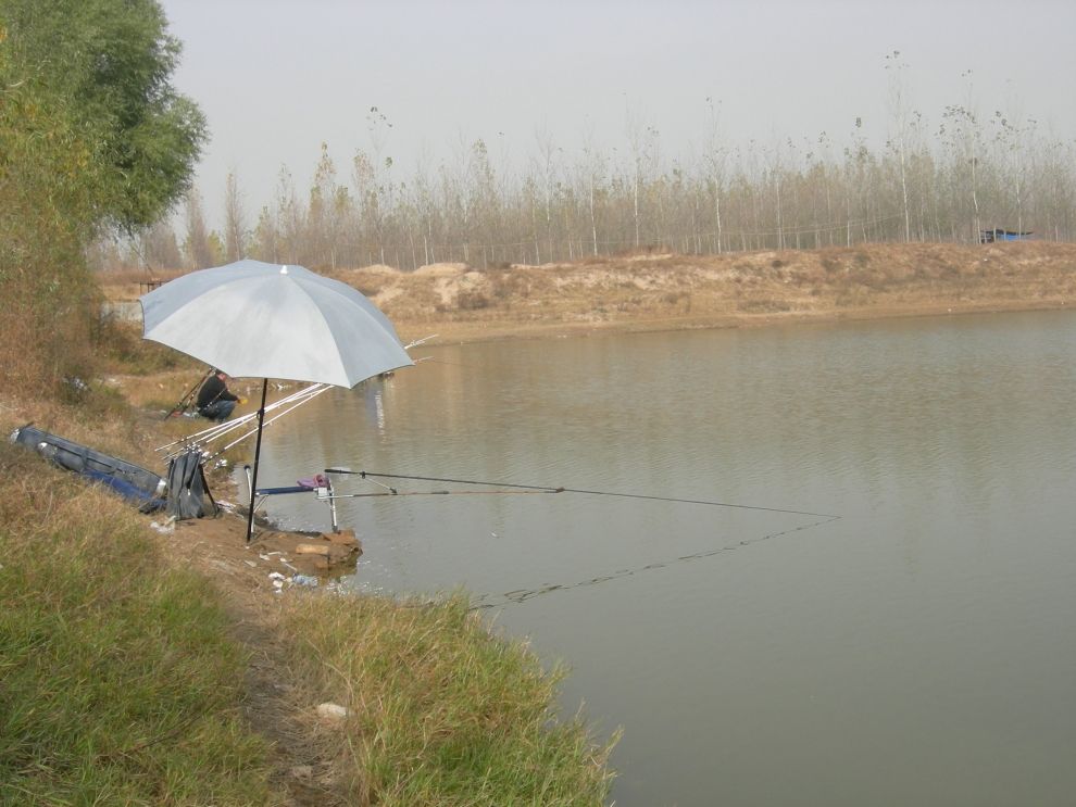 河里钓鱼的技术及技巧（河钓时怎么样才能钓更多鱼）-第6张图片