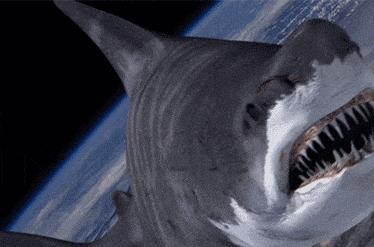 鲨鱼是什么动物种类（鲨鱼是动物还是鱼类究竟能长多大）-第10张图片