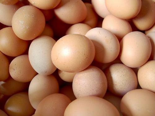 煮熟的隔夜鸡蛋能吃吗（煮熟带壳的鸡蛋第二天能吃吗）-第1张图片
