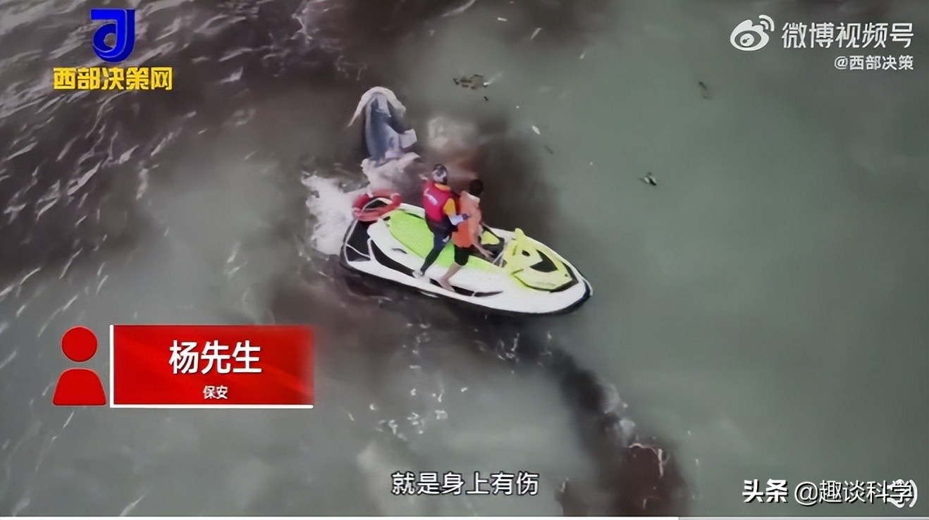 中国抹香鲸搁浅事件案例（抹香鲸为什么会被搁浅死亡）-第11张图片