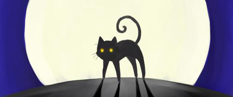 黑猫代表什么象征意义（人们不愿意养殖黑猫的原因）-第2张图片