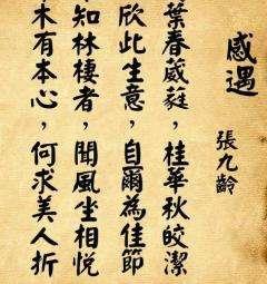 张九龄是哪个朝代人物（诗人张九龄在古代为国家做过什么）-第6张图片