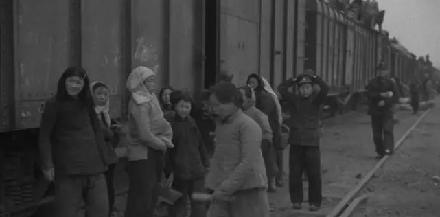 1942年河南大饥荒历史事件背景（大饥荒饿死人的原因）-第7张图片