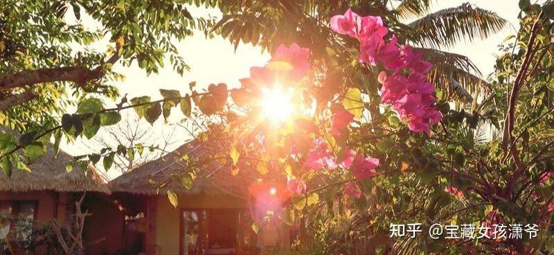 心有希望，前途“光”明——《独行月球》影评-第2张图片