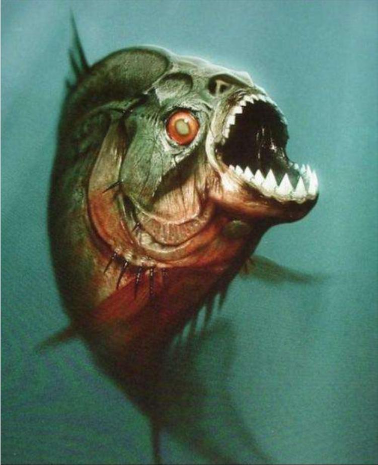 食人鱼的天敌是谁（食人鱼长什么样子到底有多可怕）-第1张图片