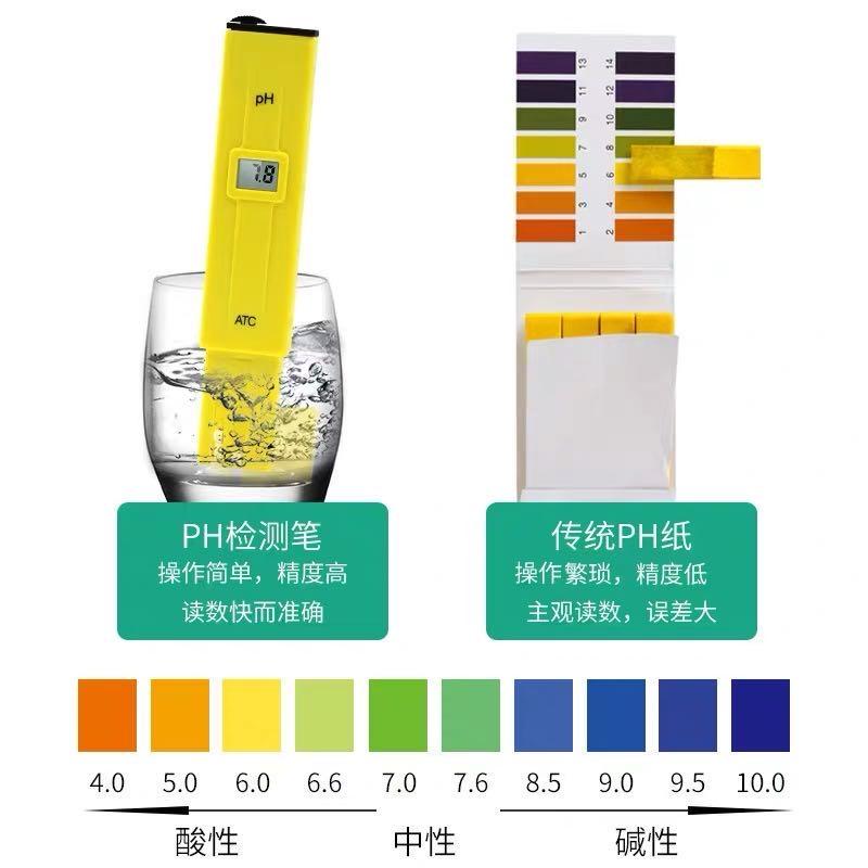 鱼缸换水的正确方法（家里鱼缸换水的步骤及注意事项）-第4张图片