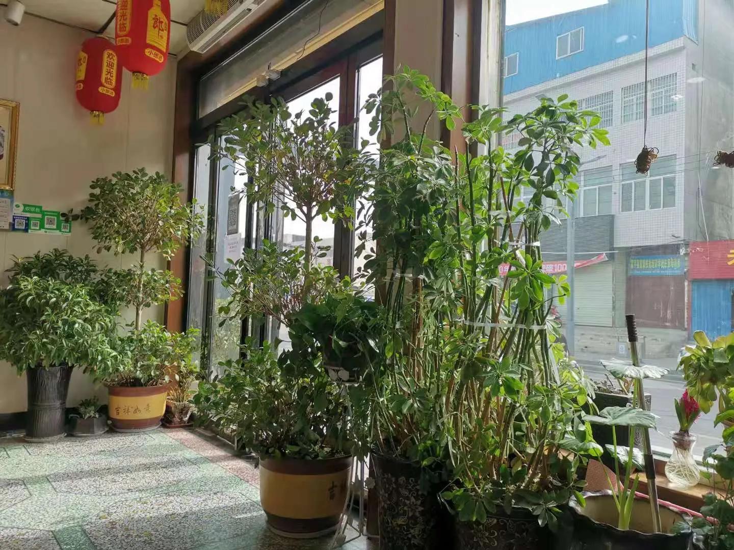 天上龙肉地上驴肉什么意思（吃驴肉的作用与功效有哪些）-第4张图片