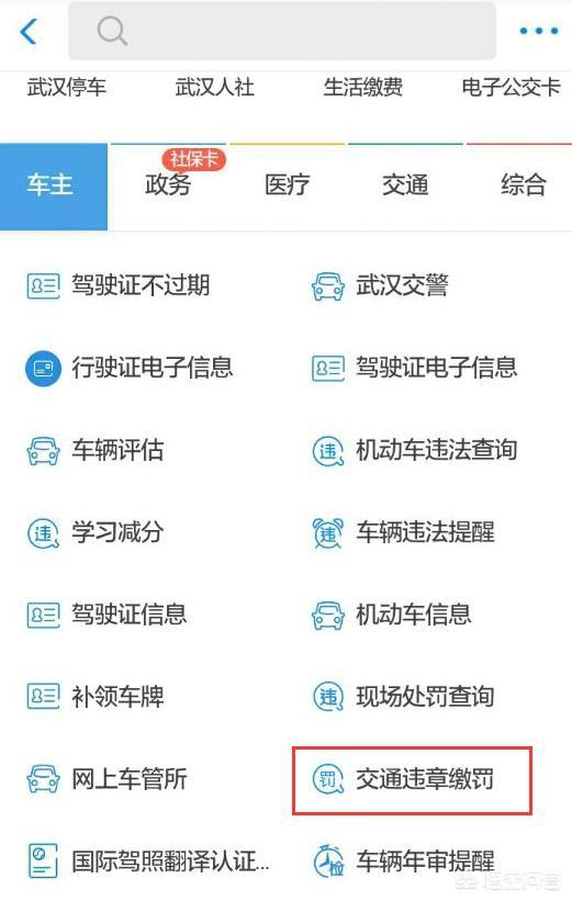 驾驶非本人车辆违章如何处理（非本人机动车违章怎么扣分）-第4张图片
