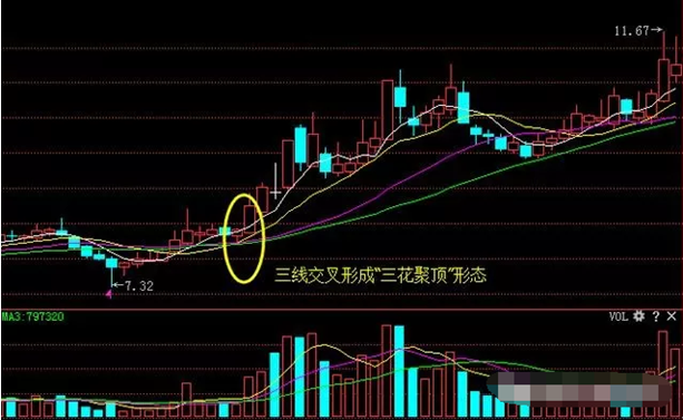 三花聚顶的人的面相(三花聚顶的是什么人)-第2张图片