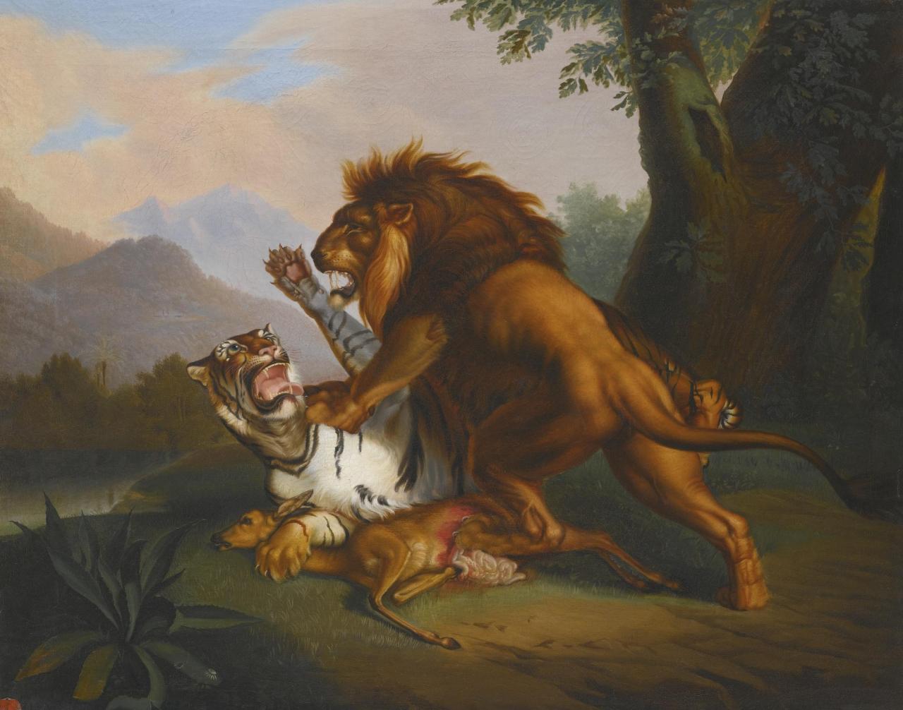真正的万兽之王是谁（老虎vs狮子谁厉害）-第7张图片