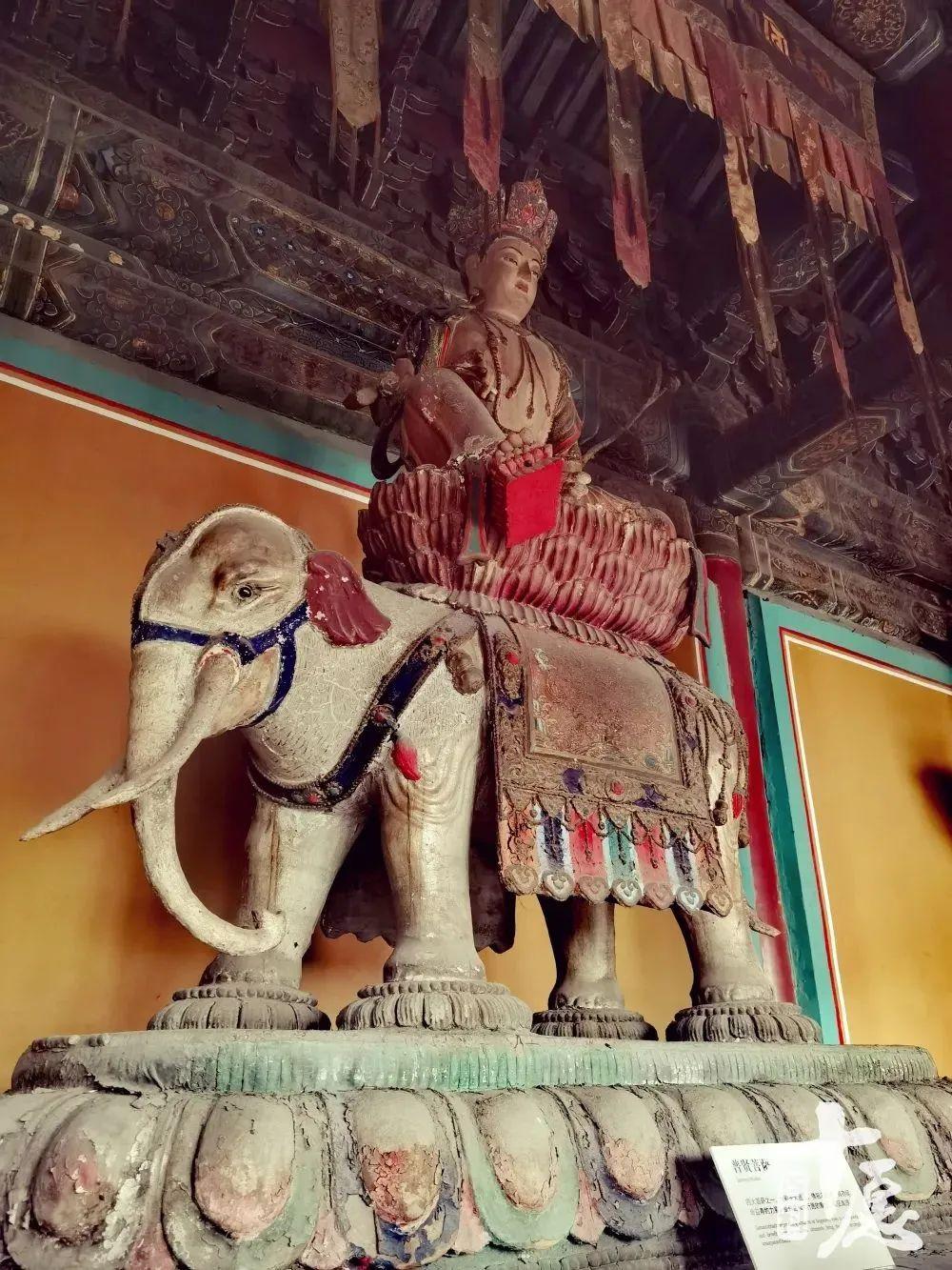 西游记骑大象的菩萨是谁（普贤菩萨坐骑为何是大象）-第3张图片