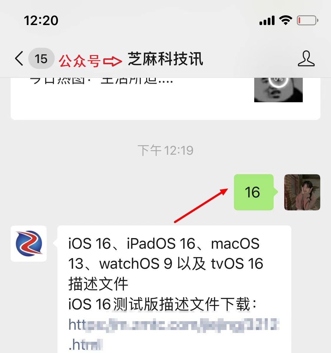 ipad如何升级系统(ipad怎么强制升级系统)-第3张图片