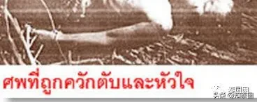细伟为什么会变干尸(细伟干尸图片)-第18张图片