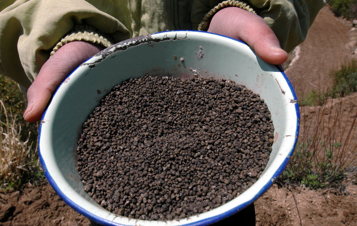 磷肥的作用(种庄稼用磷肥，磷肥有什么作用？不同的磷肥施用时注意什么)-第1张图片