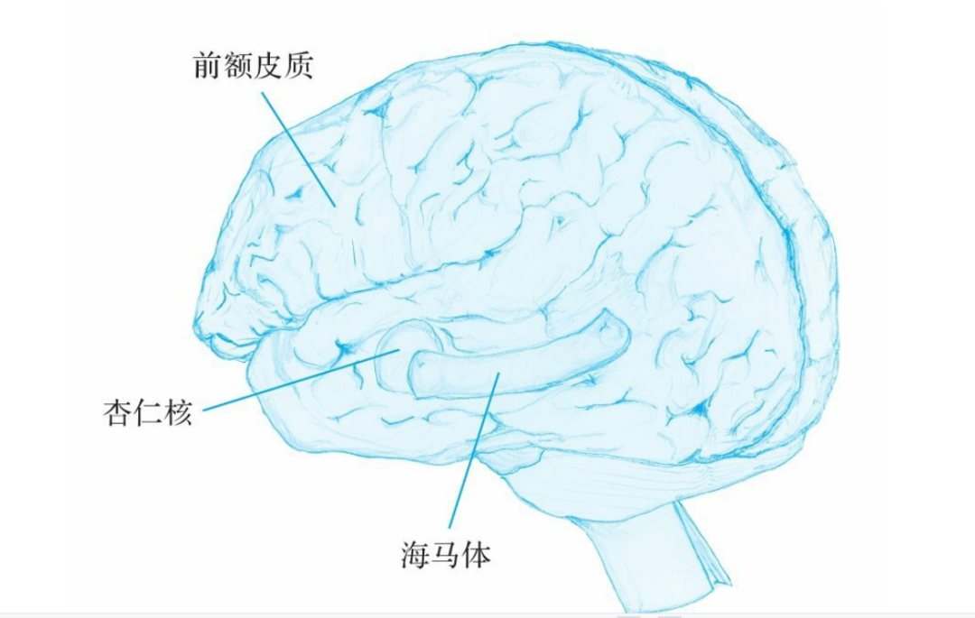 这12件事永远不要做-第10张图片