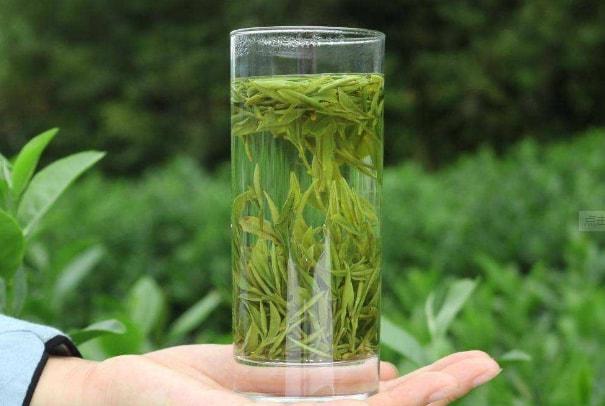 什么绿茶最好喝排行榜(中国十大绿茶排名)-第12张图片