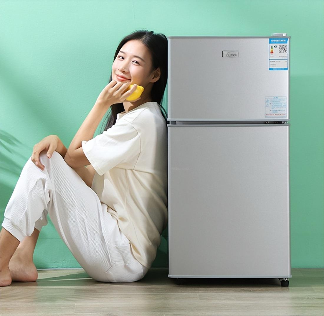 中国十大名牌冰柜有哪些牌子（我国十大冰箱品牌名单）-第10张图片