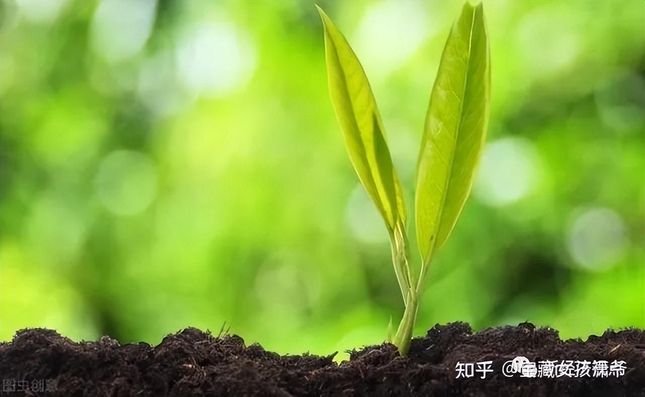 心有希望，前途“光”明——《独行月球》影评-第1张图片