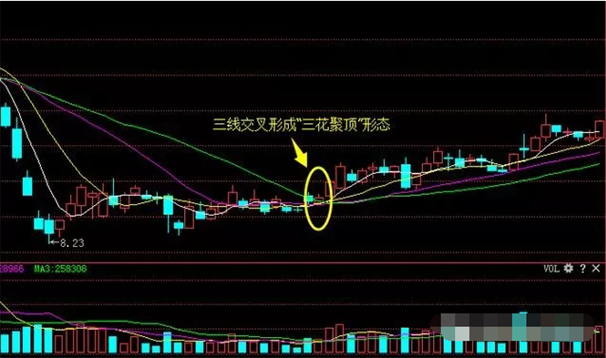 三花聚顶的人的面相(三花聚顶的是什么人)-第1张图片