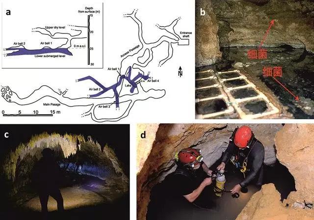 550万年前，科学家们进入了洞穴，发现了外星世界-第2张图片