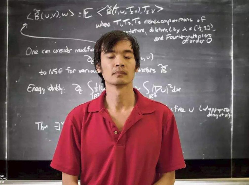 丘成桐和陶哲轩谁厉害（世界级的华人数学家都有谁）-第4张图片