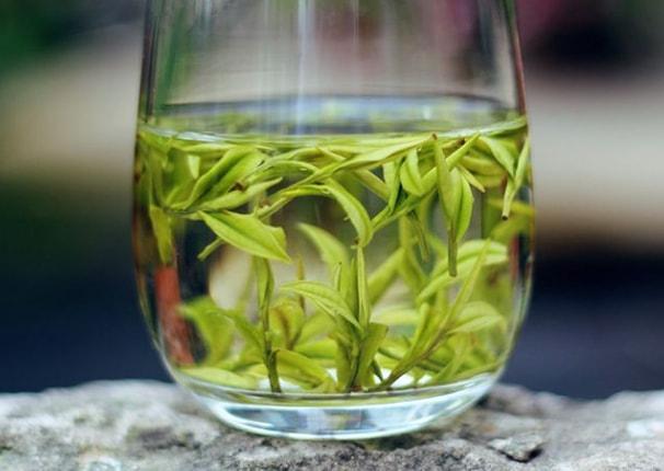 什么绿茶最好喝排行榜(中国十大绿茶排名)-第15张图片