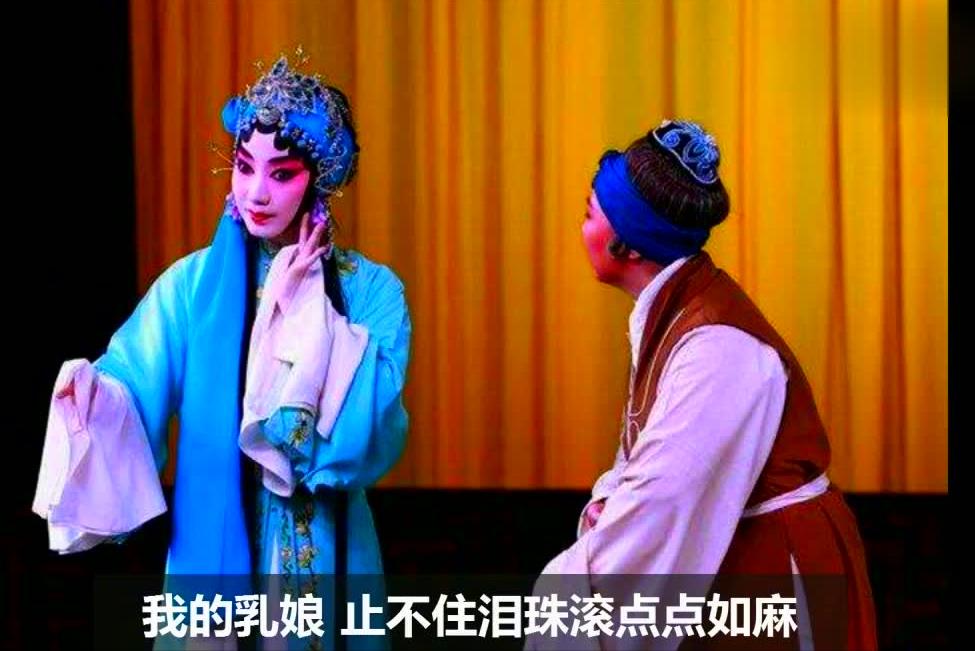 中国五大戏曲剧种（中国戏曲的五大剧种分别是什么）-第3张图片