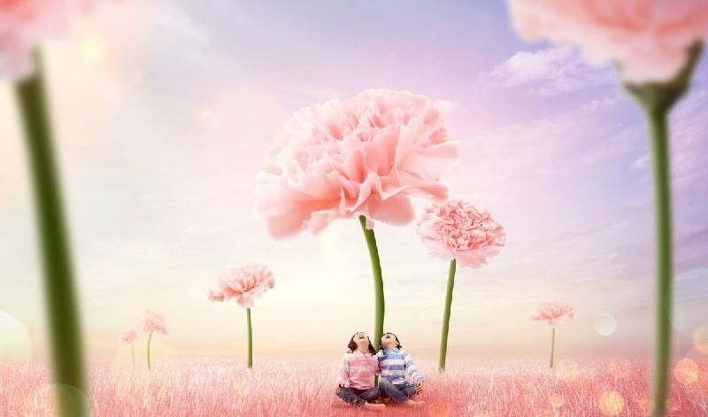 女生说很烦高情商回答（女生说烦死你了怎么幽默回复）-第5张图片