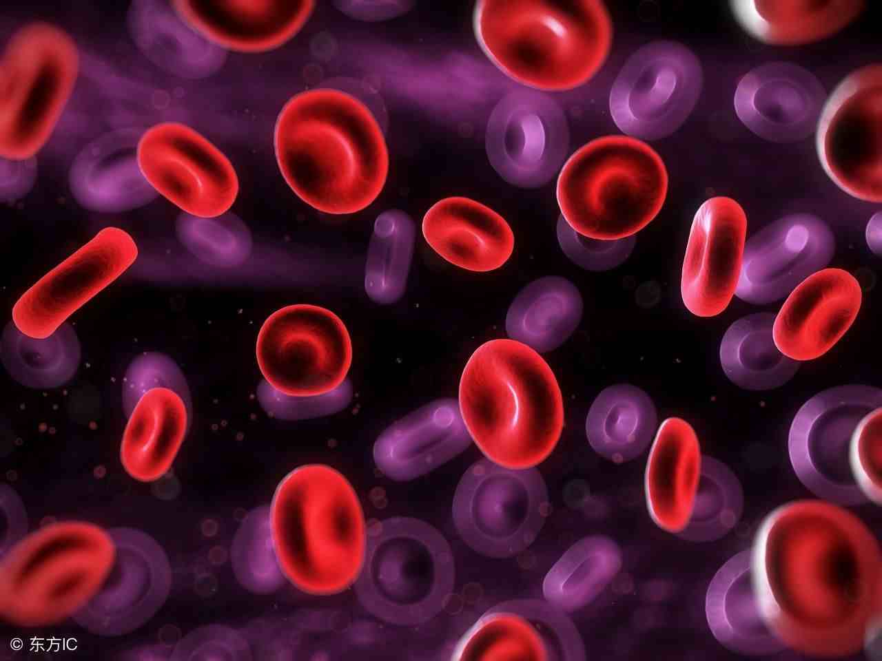 红细胞高是什么原因（红细胞聚集指数偏高是怎么回事）-第1张图片