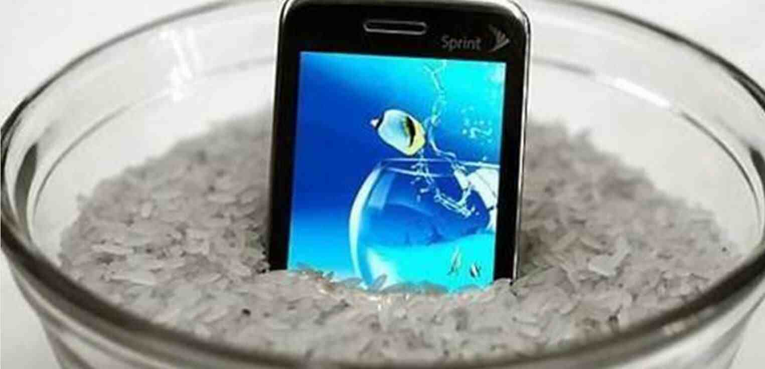 手机掉水里了应该怎么处理（手机掉进水里后怎办）-第4张图片