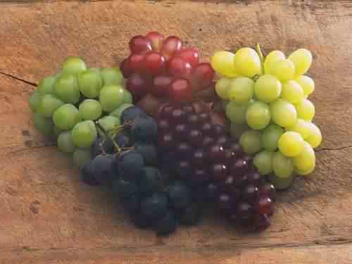 吃葡萄干有什么好处（鲜葡萄和葡萄干，哪种更有营养）-第1张图片