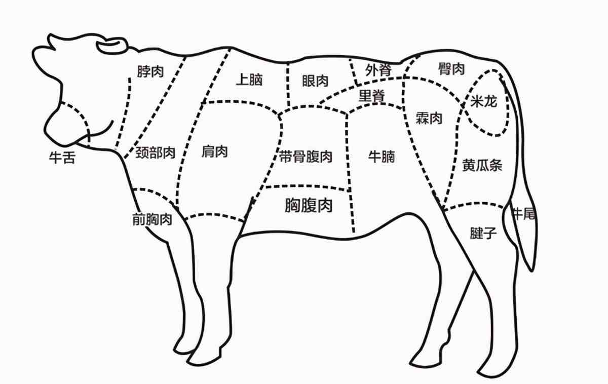肥牛是什么肉做的（肥牛片是怎么做的，是牛的哪个部分）-第5张图片
