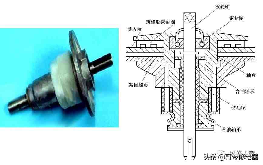 洗衣的机结构（普通双桶波轮式洗衣机的结构及组成原理）-第4张图片