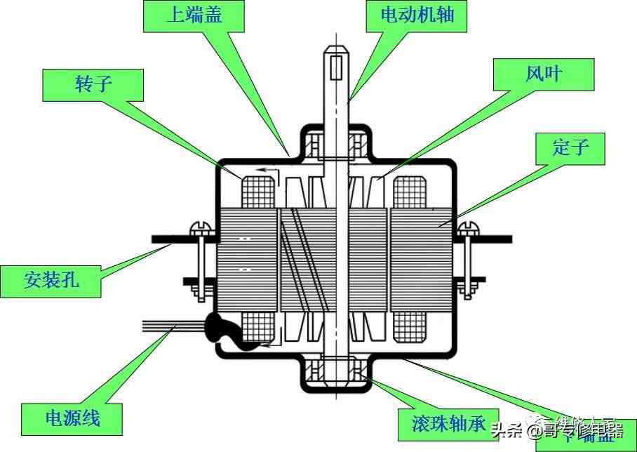 洗衣的机结构（普通双桶波轮式洗衣机的结构及组成原理）-第6张图片