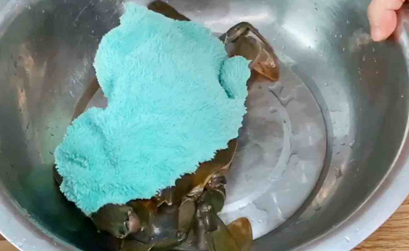 螃蟹怎么保存（保存螃蟹时，直接放冰箱是大忌）-第3张图片