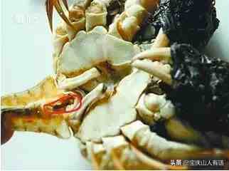 如何吃螃蟹（吃货教你如何吃蟹）-第6张图片