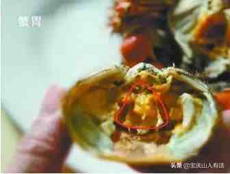 如何吃螃蟹（吃货教你如何吃蟹）-第7张图片