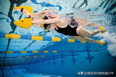 自由泳教程（自由泳完整教学流程）-第3张图片