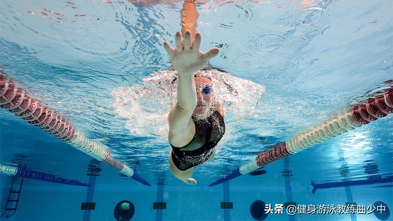 自由泳教程（自由泳完整教学流程）-第1张图片