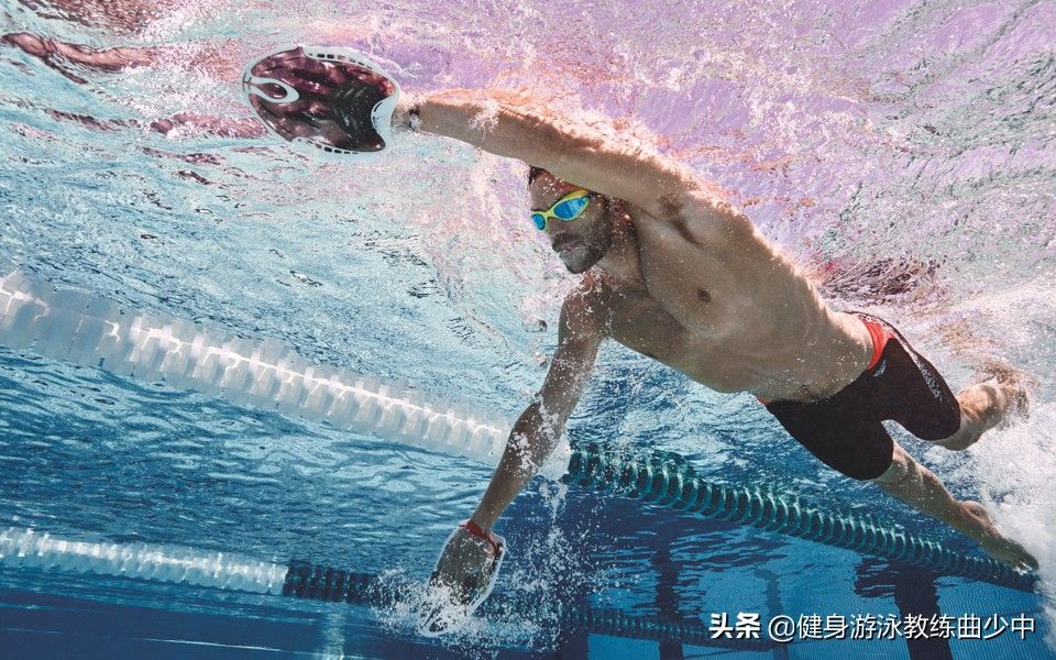 自由泳教程（自由泳完整教学流程）-第5张图片