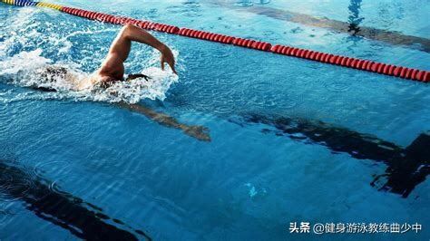自由泳教程（自由泳完整教学流程）-第10张图片
