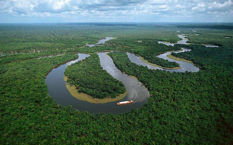 亚马逊河在哪里呢（亚马逊河有多可怕？）-第2张图片