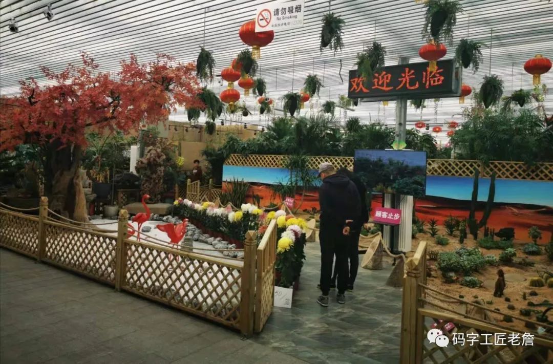 庚寅日柱（北京城南，有个花卉创意园）-第2张图片