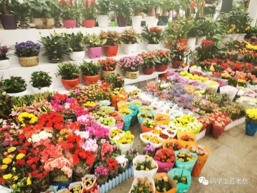 庚寅日柱（北京城南，有个花卉创意园）-第5张图片
