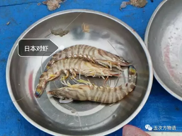 青岛大虾（各种青岛大虾）-第8张图片